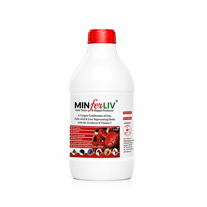 Minferliv