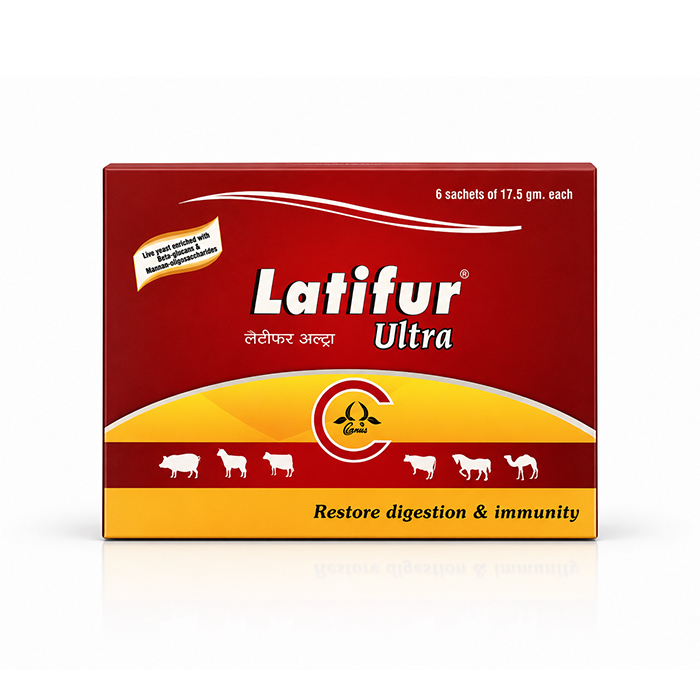 Latifur Ultra