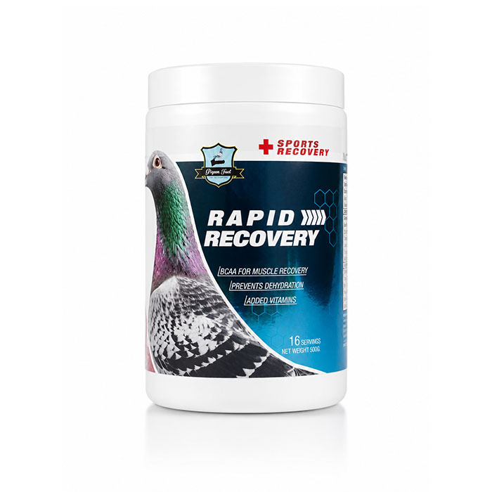 Rapid Recovery